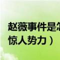 赵薇事件是怎么回事（深扒其背后不为人知的惊人势力）