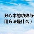 分心木的功效与作用及食用方法（分心木的功效与作用及食用方法是什么）