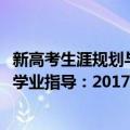 新高考生涯规划与学业指导：2017（关于新高考生涯规划与学业指导：2017简介）