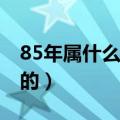 85年属什么的生肖（1985年的是属什么生肖的）