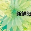 新鲜阳光（关于新鲜阳光简介）