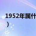 1952年属什么生肖（1952年生人是属什么的）