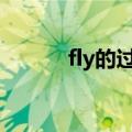 fly的过去式（下面就教给大家）