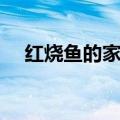 红烧鱼的家常做法简单（红烧鱼怎么做）