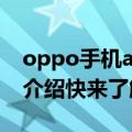 oppo手机a11全部参数（这里有详细的参数介绍快来了解下）