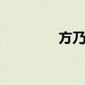 方乃根（关于方乃根简介）