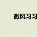 微风习习造句（利用微风习习造句）