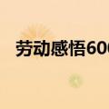 劳动感悟600字作文（劳动感悟作文范文）