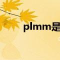 plmm是什么意思（plmm的意思）