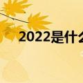 2022是什么年（2022年的生肖是啥呢）