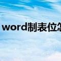 word制表位怎么用（word制表位怎么制作）