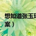 想知道张玉环案是怎么回事（了解一下张玉环案）