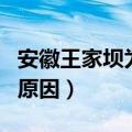 安徽王家坝为什么要泄洪（安徽王家坝泄洪的原因）