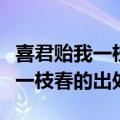 喜君贻我一枝春中的一枝春指的是（喜君贻我一枝春的出处）