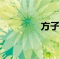 方子传（关于方子传简介）