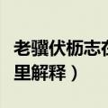 老骥伏枥志在千里什么意思（老骥伏枥志在千里解释）