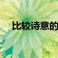 比较诗意的网名（比较诗意的网名大全）