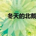 冬天的北戴河好玩吗（看雪滑冰喂鸽子）