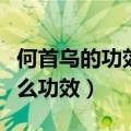 何首乌的功效与作用及食用方法（何首乌有什么功效）