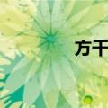 方干民（关于方干民简介）