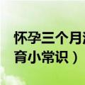 怀孕三个月注意事项（孕妈妈要知道的5个孕育小常识）