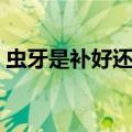 虫牙是补好还是拔好（虫牙要怎样处理才好）