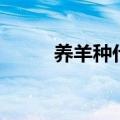 养羊种什么牧草好（以南方为例）