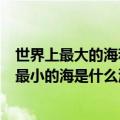 世界上最大的海和最小的海分别是什么（世界上最大的海和最小的海是什么海）