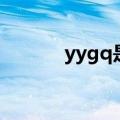 yygq是什么梗（yygq梗介绍）