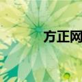 方正网带（关于方正网带简介）