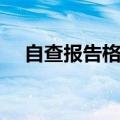 自查报告格式（自查报告格式内容要点）