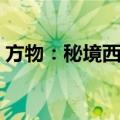 方物：秘境西南（关于方物：秘境西南简介）