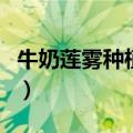 牛奶莲雾种植方法（牛奶莲雾种植的详细步骤）