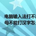 电脑输入法打不出汉字只能打字母（电脑输入法只能打出字母不能打汉字怎么办）