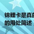 锦鲤卡是真的吗有什么要（锦鲤卡是真的及它的用处简述）