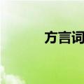 方言词汇（关于方言词汇简介）