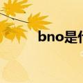 bno是什么意思（bno意思简述）