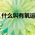 什么叫有氧运动（怎么判断是不是有氧运动）