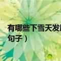 有哪些下雪天发朋友圈的精美句子（下雪天发朋友圈的精美句子）