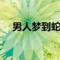 男人梦到蛇预示着什么（这个你了解吗）