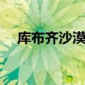 库布齐沙漠位置（库布齐沙漠位置介绍）