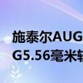 施泰尔AUG5.56毫米轻机枪（关于施泰尔AUG5.56毫米轻机枪简介）