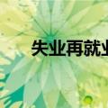 失业再就业的方法（失业再就业技巧）