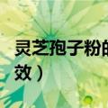 灵芝孢子粉的功效（灵芝孢子粉有什么作用功效）