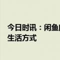 今日时讯：闲鱼闲置运动会背后：让绿色低碳成为年轻人的生活方式