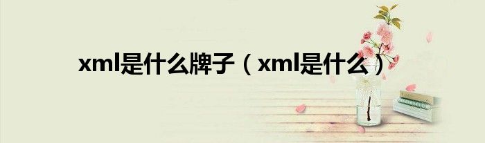 xml是什么牌子（xml是什么）