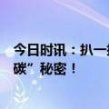 今日时讯：扒一扒：快递界的“特种兵”？顺丰同城的“减碳”秘密！