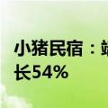 小猪民宿：端午期间热门城市民宿预订同比增长54%