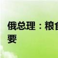 俄总理：粮食安全对俄与欧亚经济联盟至关重要