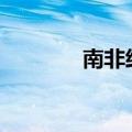 南非经济第一季度萎缩0.1%